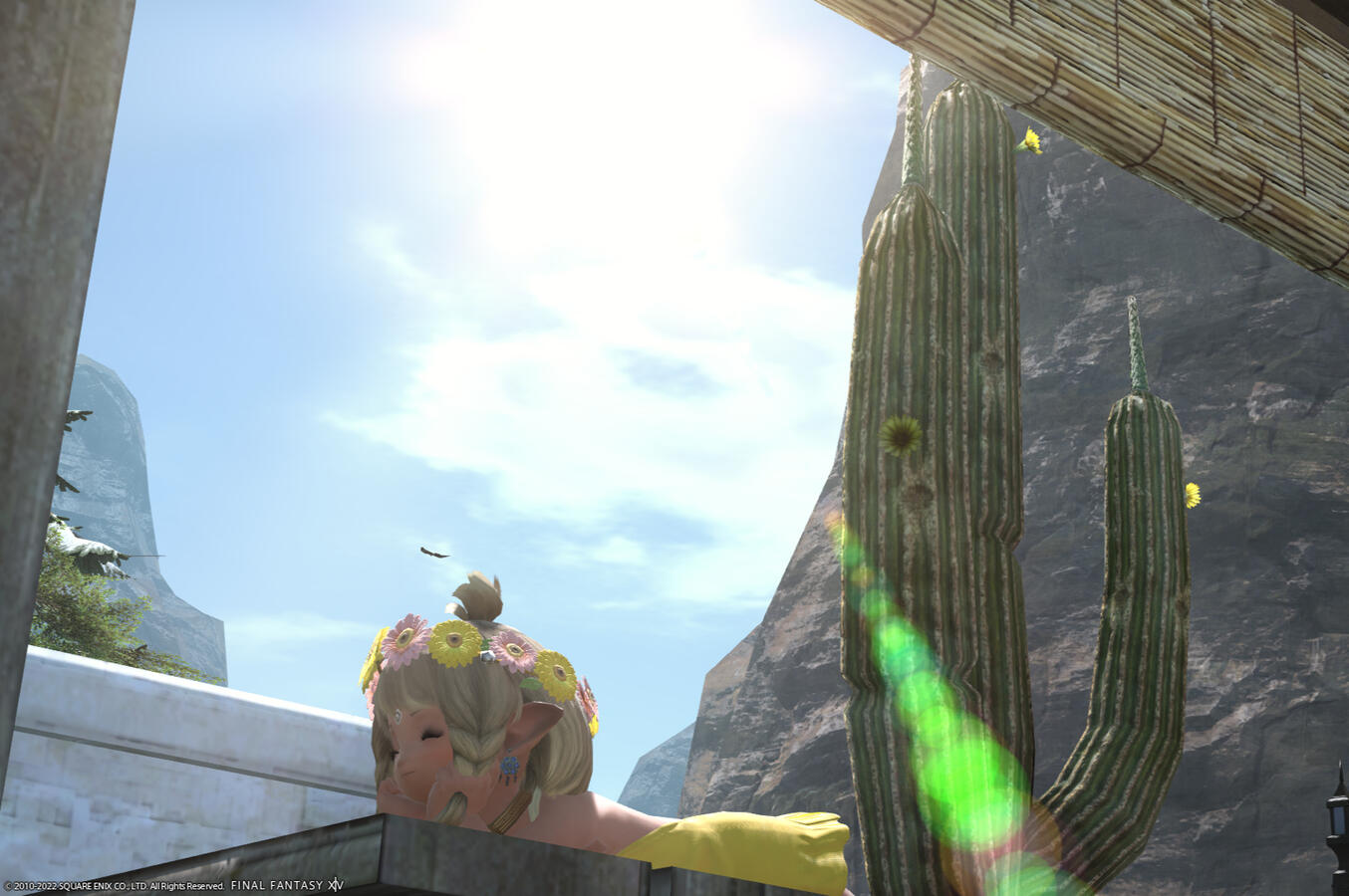 The perfect spot in Goblet to sunbathe